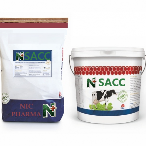 N+ SACC